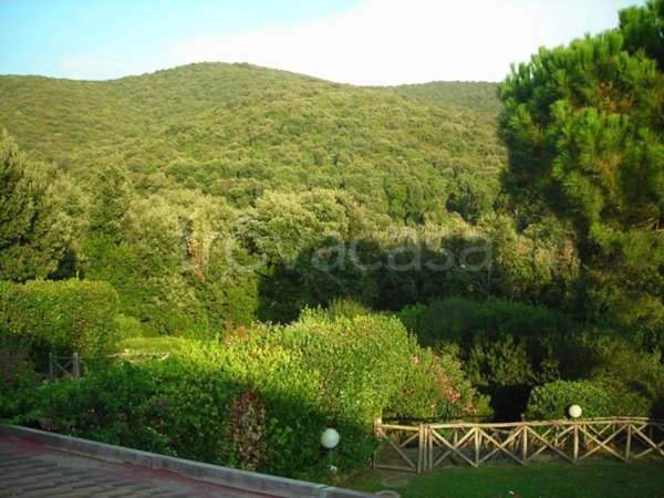 appartamento in vendita a Castiglione della Pescaia in zona Punta Ala