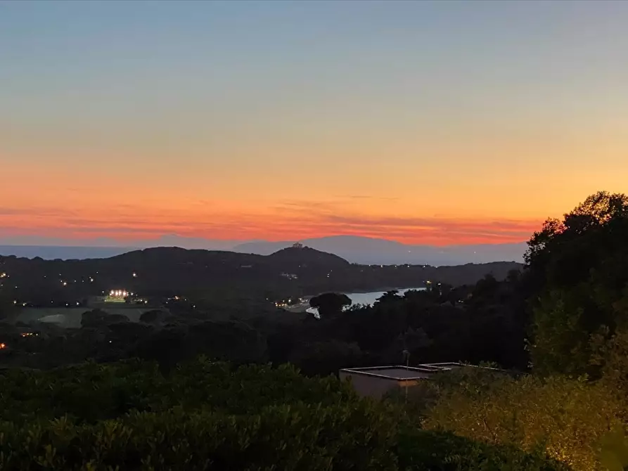 immagine annuncio 0 di 1