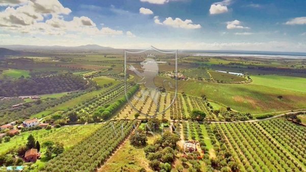 casa indipendente in vendita a Castiglione della Pescaia in zona Ampio