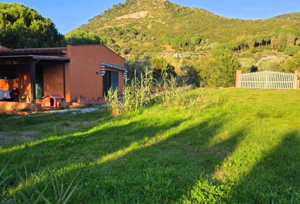 casa indipendente in vendita a Castiglione della Pescaia in zona Ampio