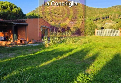 casa indipendente in vendita a Castiglione della Pescaia in zona Ampio