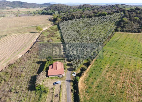 casa indipendente in vendita a Castiglione della Pescaia