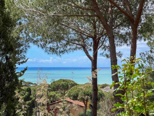 casa indipendente in vendita a Castiglione della Pescaia in zona Riva del Sole
