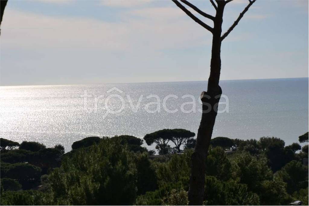 casa indipendente in vendita a Castiglione della Pescaia in zona Ampio