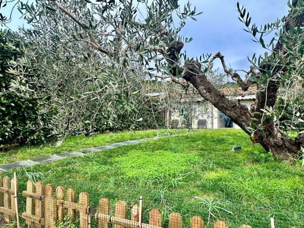 casa indipendente in vendita a Castiglione della Pescaia in zona Ampio