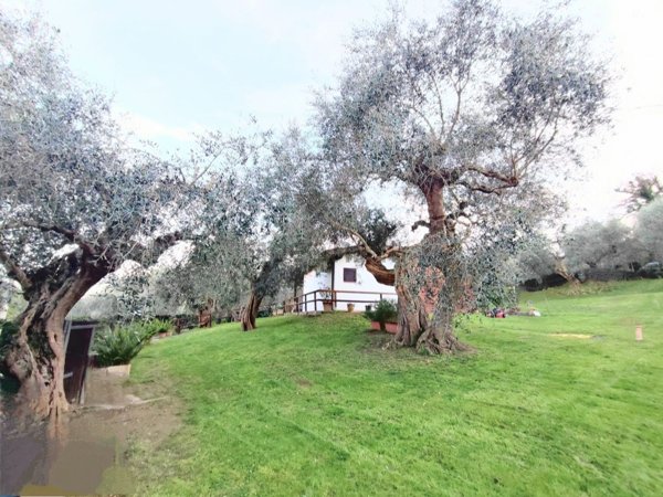 appartamento in vendita a Castiglione della Pescaia