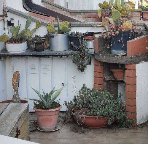 appartamento in vendita a Castiglione della Pescaia