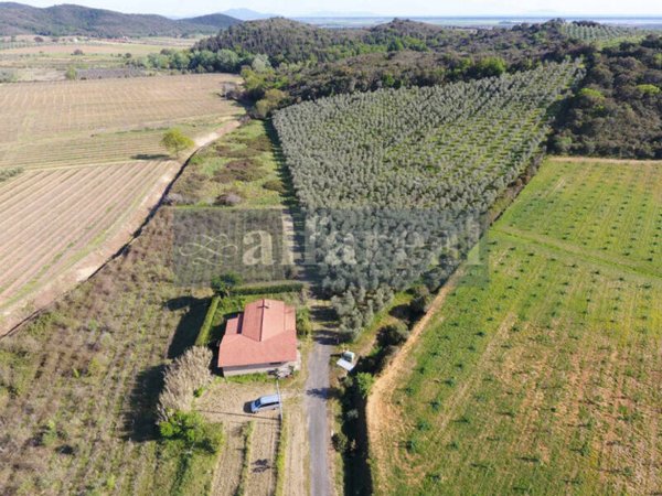 terreno agricolo in vendita a Castiglione della Pescaia