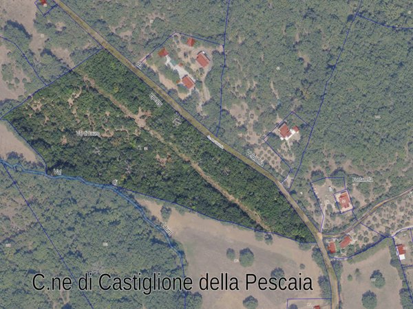 terreno agricolo in vendita a Castiglione della Pescaia in zona Vetulonia