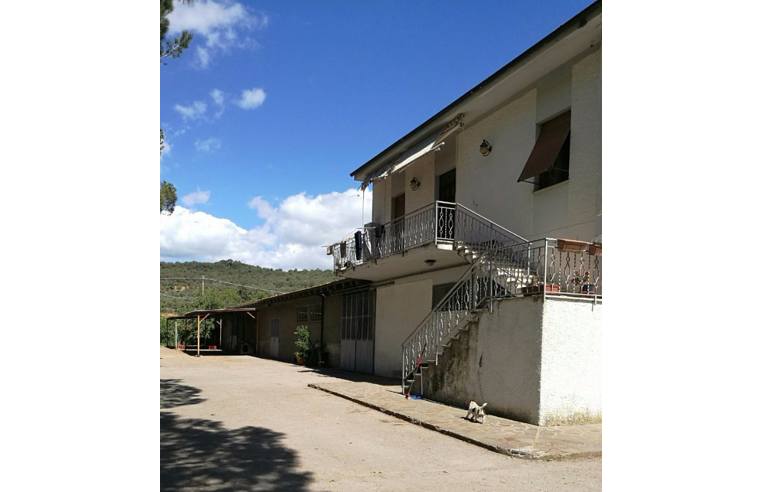 locale commerciale in vendita a Castiglione della Pescaia