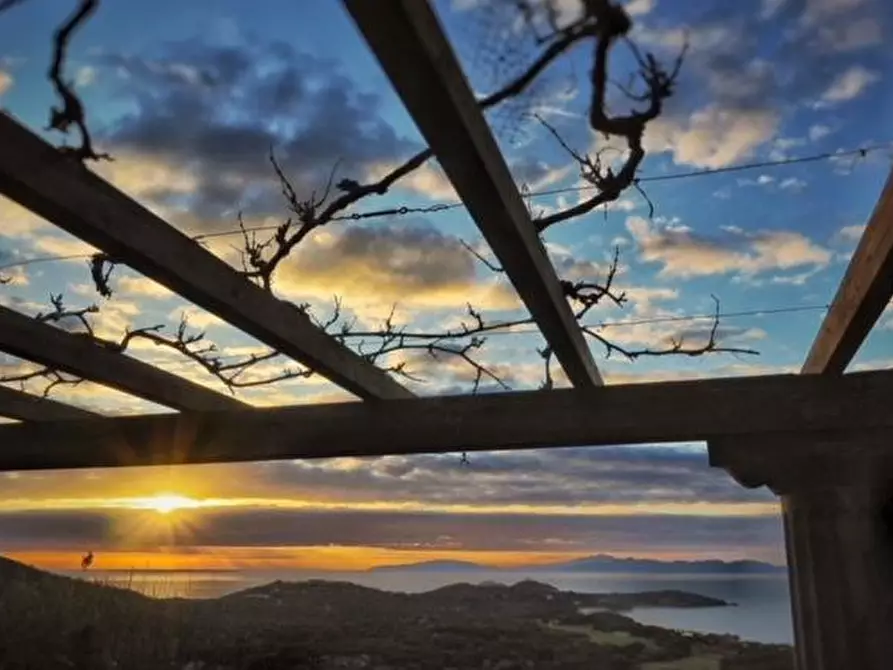 casa indipendente in vendita a Castiglione della Pescaia in zona Punta Ala