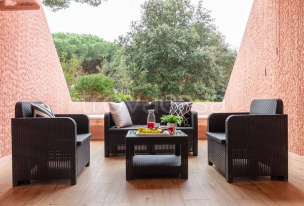 immagine annuncio 0 di 15