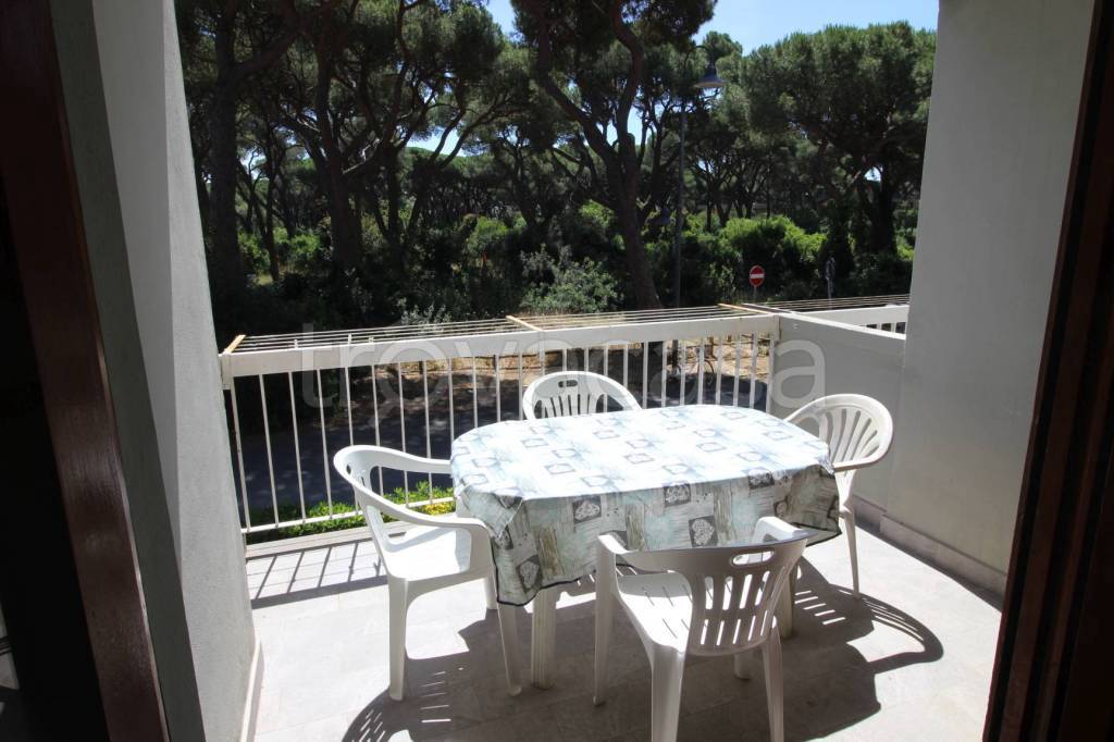 immagine annuncio 0 di 10