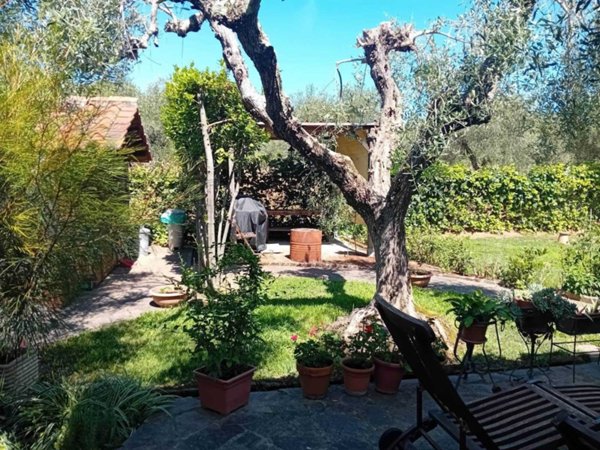 casa indipendente in vendita a Castiglione della Pescaia in zona Ampio