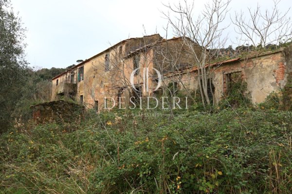 casa indipendente in vendita a Castiglione della Pescaia in zona Ampio