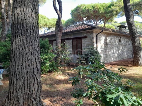 casa indipendente in vendita a Castiglione della Pescaia