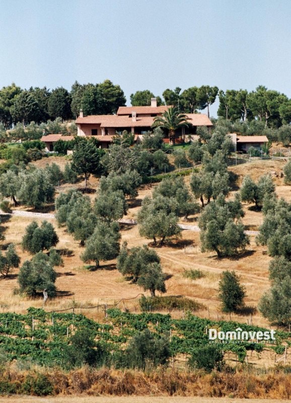 villa in vendita a Castiglione della Pescaia
