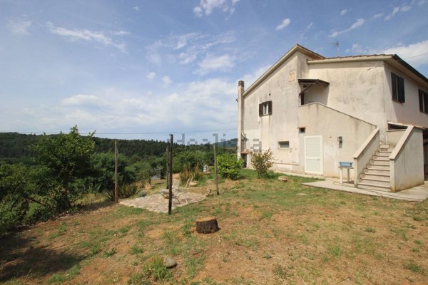 pentavano in vendita a Castiglione della Pescaia