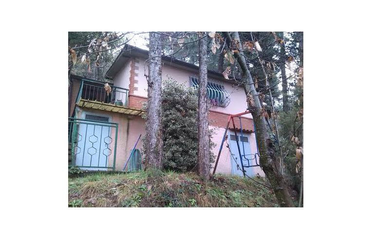 casa indipendente in vendita a Castiglione della Pescaia in zona Ampio