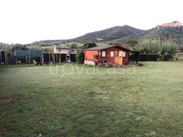 terreno agricolo in vendita a Castiglione della Pescaia in zona Buriano