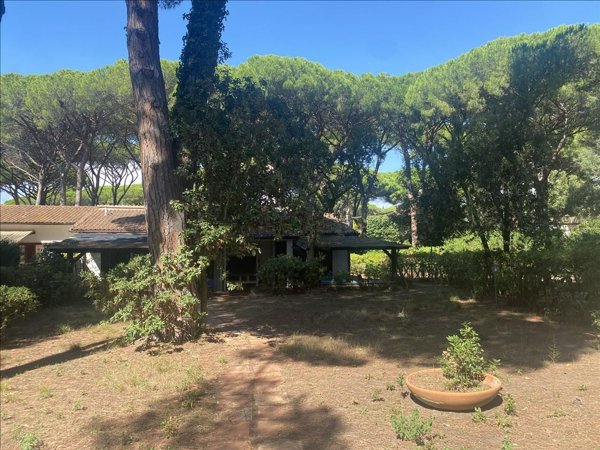 casa indipendente in vendita a Castiglione della Pescaia in zona Ampio