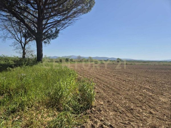 terreno agricolo in vendita a Castiglione della Pescaia in zona Vetulonia