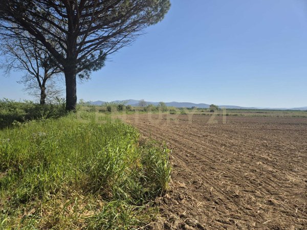 terreno agricolo in vendita a Castiglione della Pescaia in zona Vetulonia