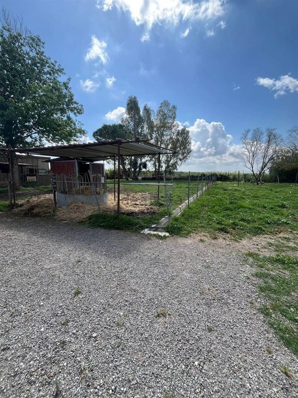 casale in vendita a Castiglione della Pescaia