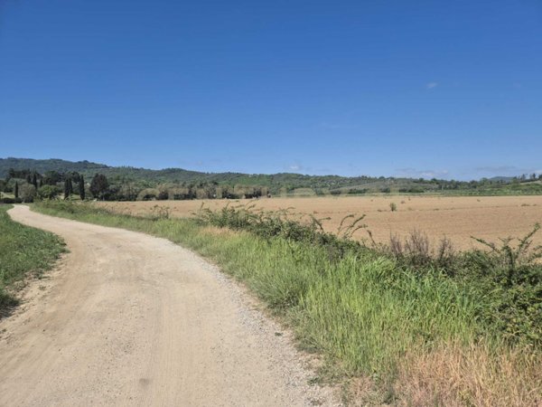 terreno agricolo in vendita a Castiglione della Pescaia in zona Buriano