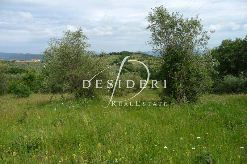 terreno agricolo in vendita a Castiglione della Pescaia in zona Vetulonia