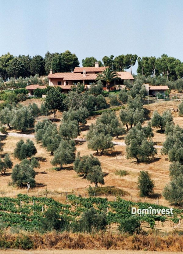 villa in vendita a Castiglione della Pescaia in zona Macchiascandona