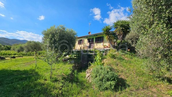 terreno agricolo in vendita a Castiglione della Pescaia in zona Tirli