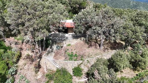 casa indipendente in vendita a Castiglione della Pescaia in zona Buriano