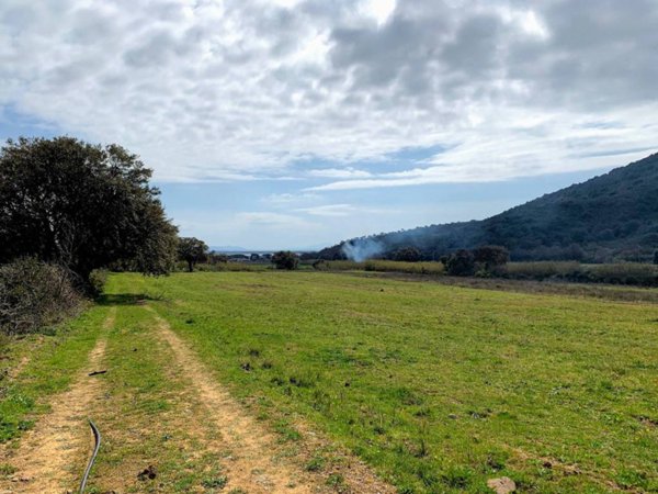 terreno agricolo in vendita a Castiglione della Pescaia in zona Tirli