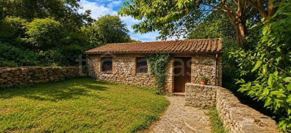 locale di sgombero in vendita a Castiglione della Pescaia in zona Vetulonia