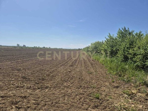 terreno agricolo in vendita a Castiglione della Pescaia
