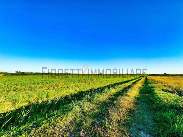 terreno agricolo in vendita a Castiglione della Pescaia