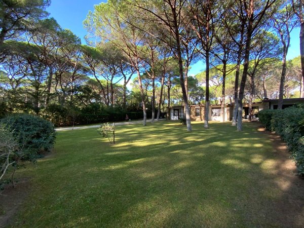 casa indipendente in vendita a Castiglione della Pescaia in zona Roccamare