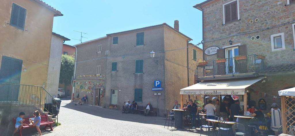 appartamento in vendita a Castiglione della Pescaia in zona Tirli