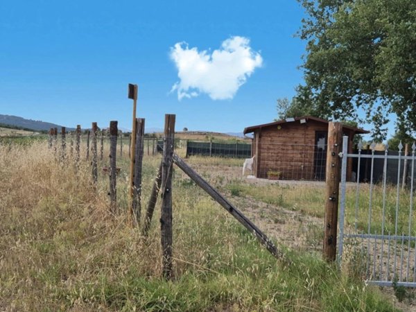 terreno agricolo in vendita a Castiglione della Pescaia in zona Ampio