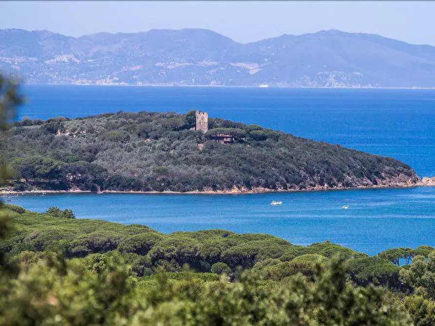 appartamento in vendita a Castiglione della Pescaia