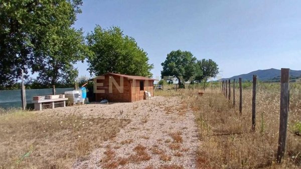 appartamento in vendita a Castiglione della Pescaia
