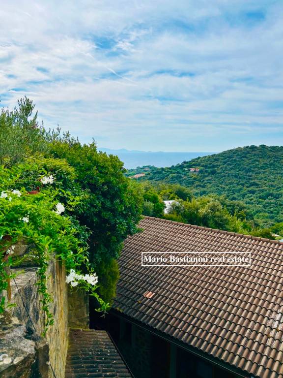 casa indipendente in vendita a Castiglione della Pescaia in zona Punta Ala
