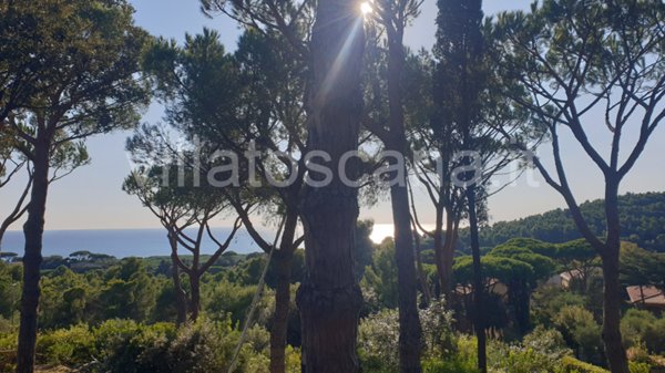 casa indipendente in vendita a Castiglione della Pescaia