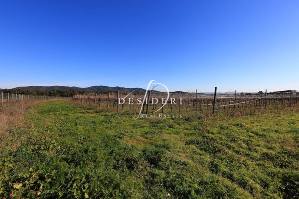 terreno in vendita a Castiglione della Pescaia in zona Ampio