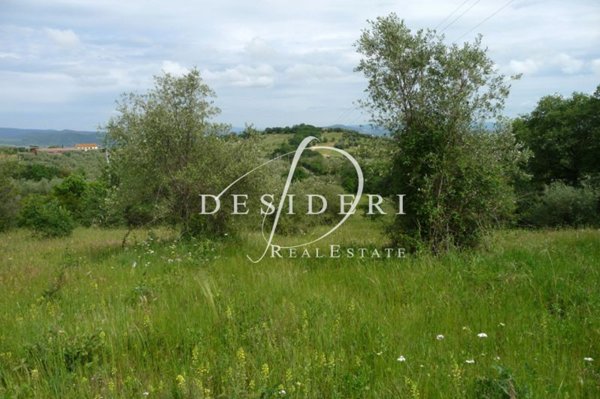 terreno agricolo in vendita a Castiglione della Pescaia in zona Vetulonia