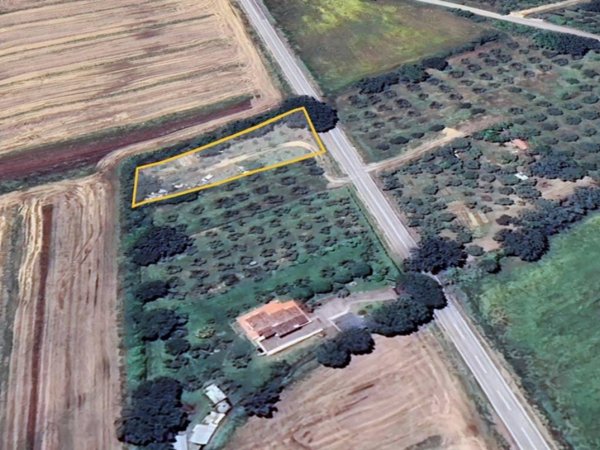 terreno agricolo in vendita a Castiglione della Pescaia in zona Ampio