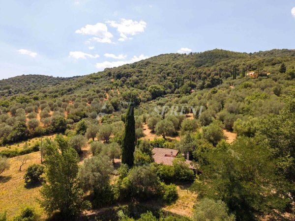 casa indipendente in vendita a Castiglione della Pescaia in zona Ampio