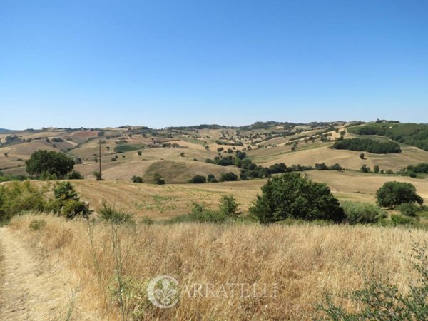 terreno agricolo in vendita a Cinigiano in zona Porrona