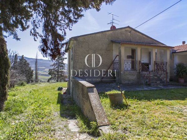 negozio in vendita a Cinigiano